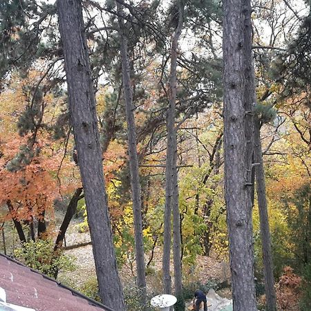 Berg Toboz Panzió Hotel Pécs Kültér fotó