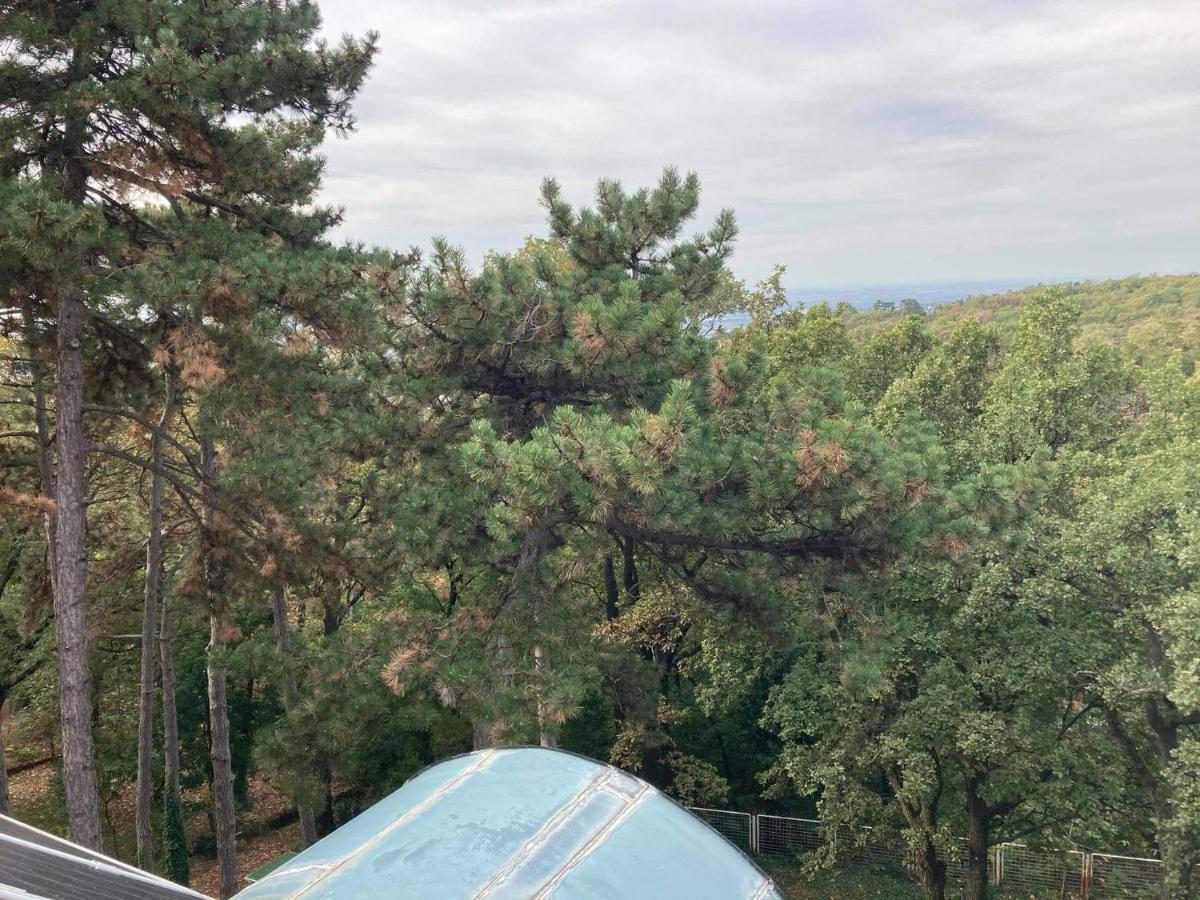 Berg Toboz Panzió Hotel Pécs Kültér fotó