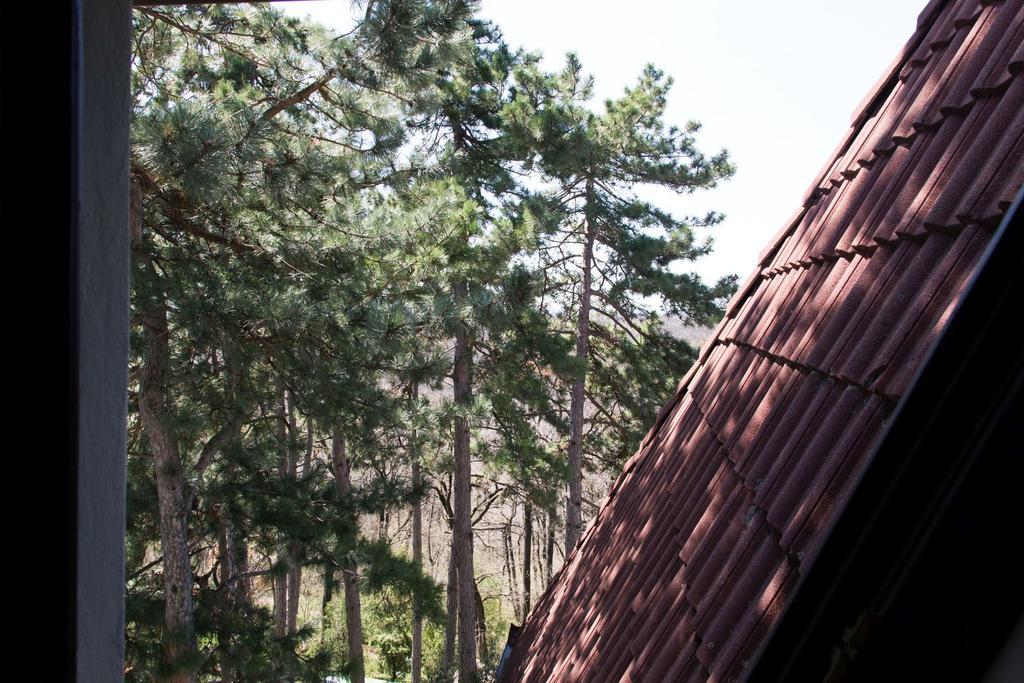 Berg Toboz Panzió Hotel Pécs Szoba fotó