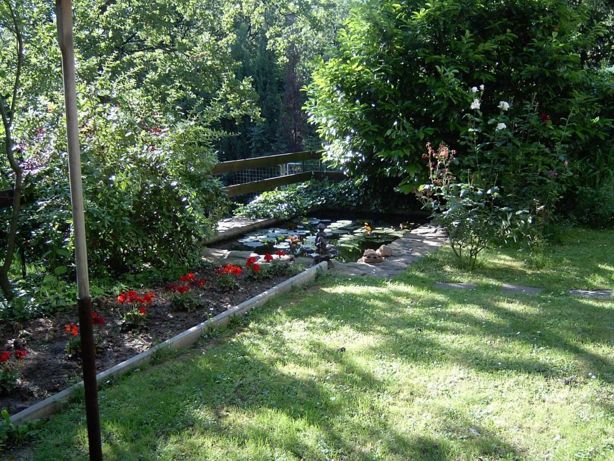 Berg Toboz Panzió Hotel Pécs Szoba fotó
