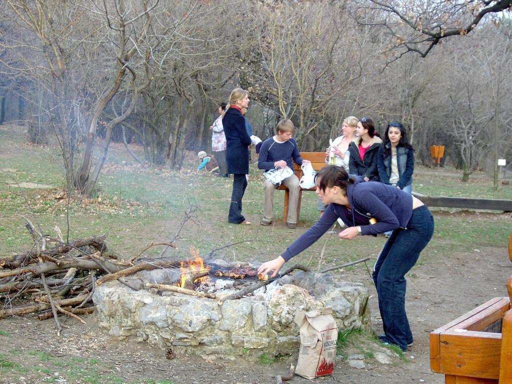 Berg Toboz Panzió Hotel Pécs Kültér fotó